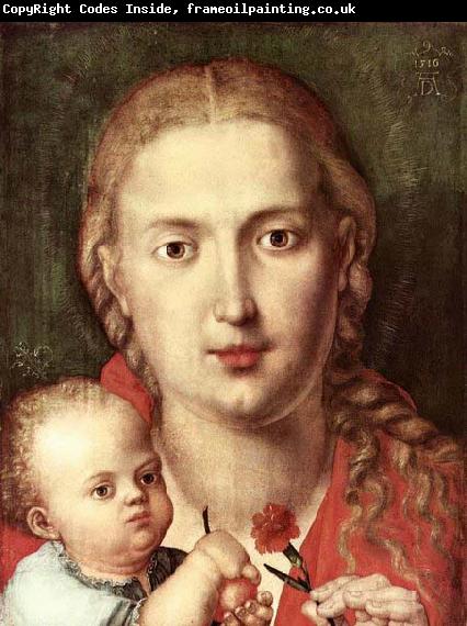 Albrecht Durer The Madonna of the Carnation